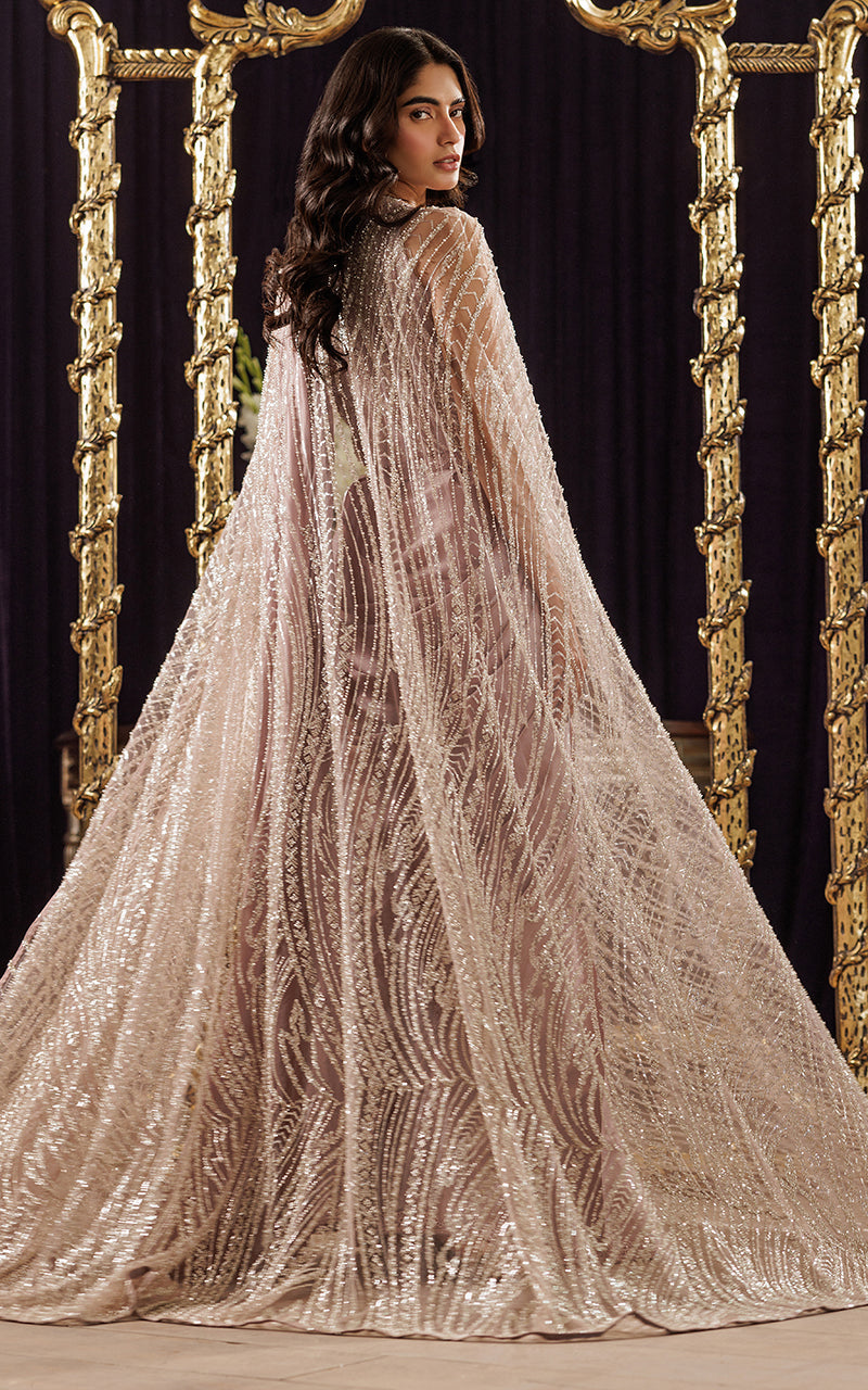 Threads and Motifs | Formal Dresses 25 | Net Embroidered Cape With Blouse And Skirt Saree
