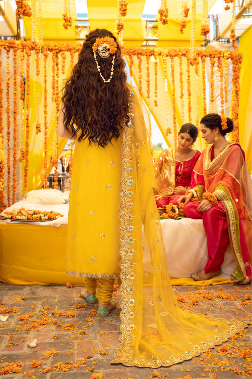 Maya | Wedding Formal Babul | BANDHNI - Official may - Agha Fabrics UK