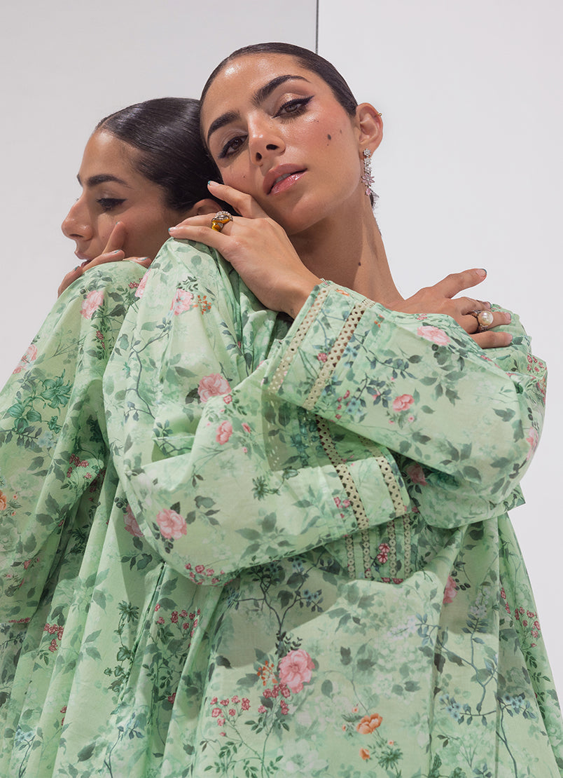 Image | Spring Basics 25 | IMPRSS-213915-11893