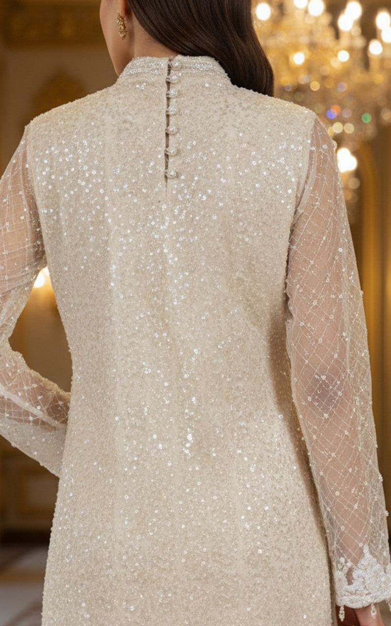 Threads and Motifs | Formal Dresses 25 | Net Embroidered Shirt With Trouser