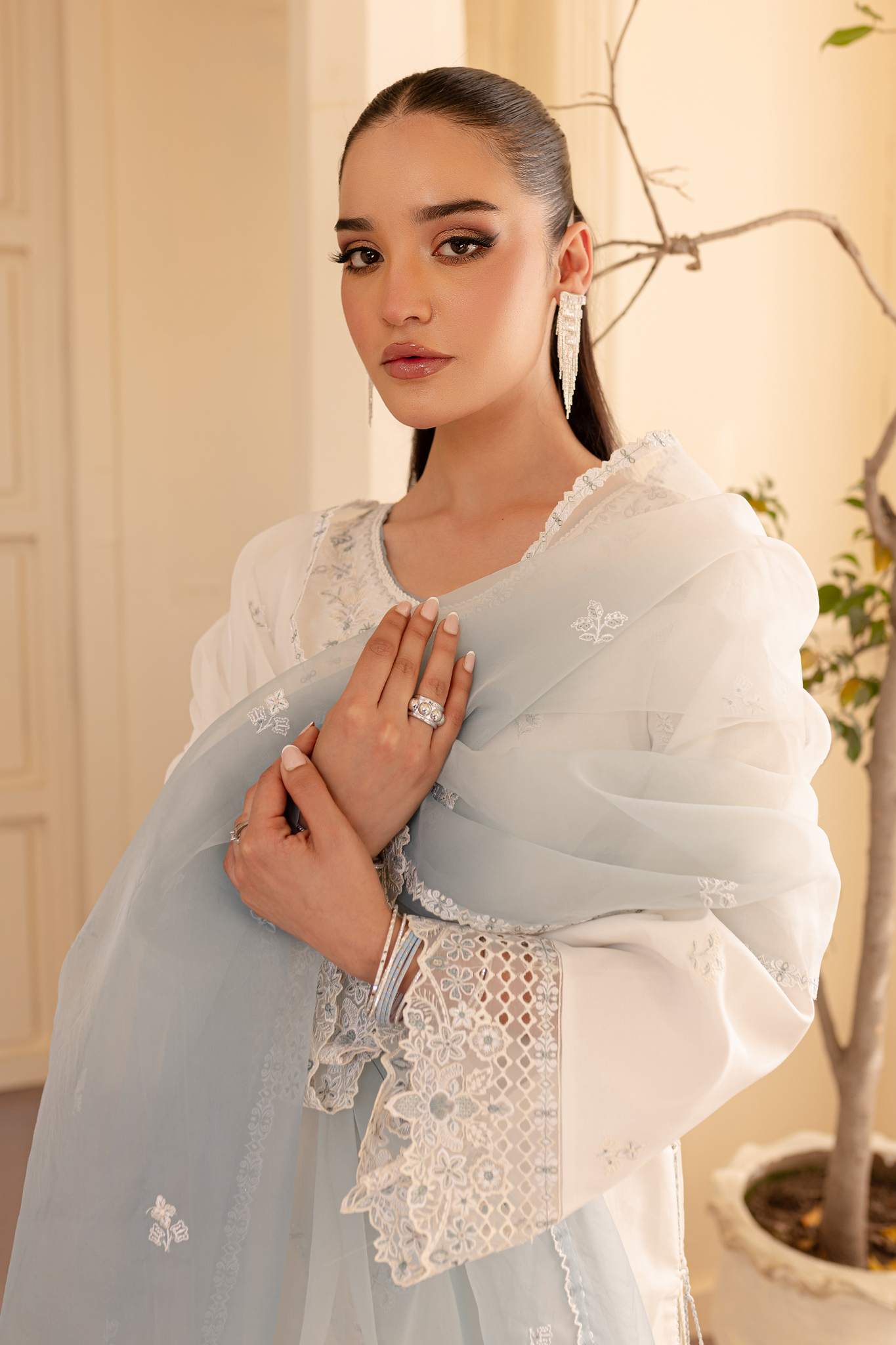 Seran | Nayab Eid Lawn | AIRA