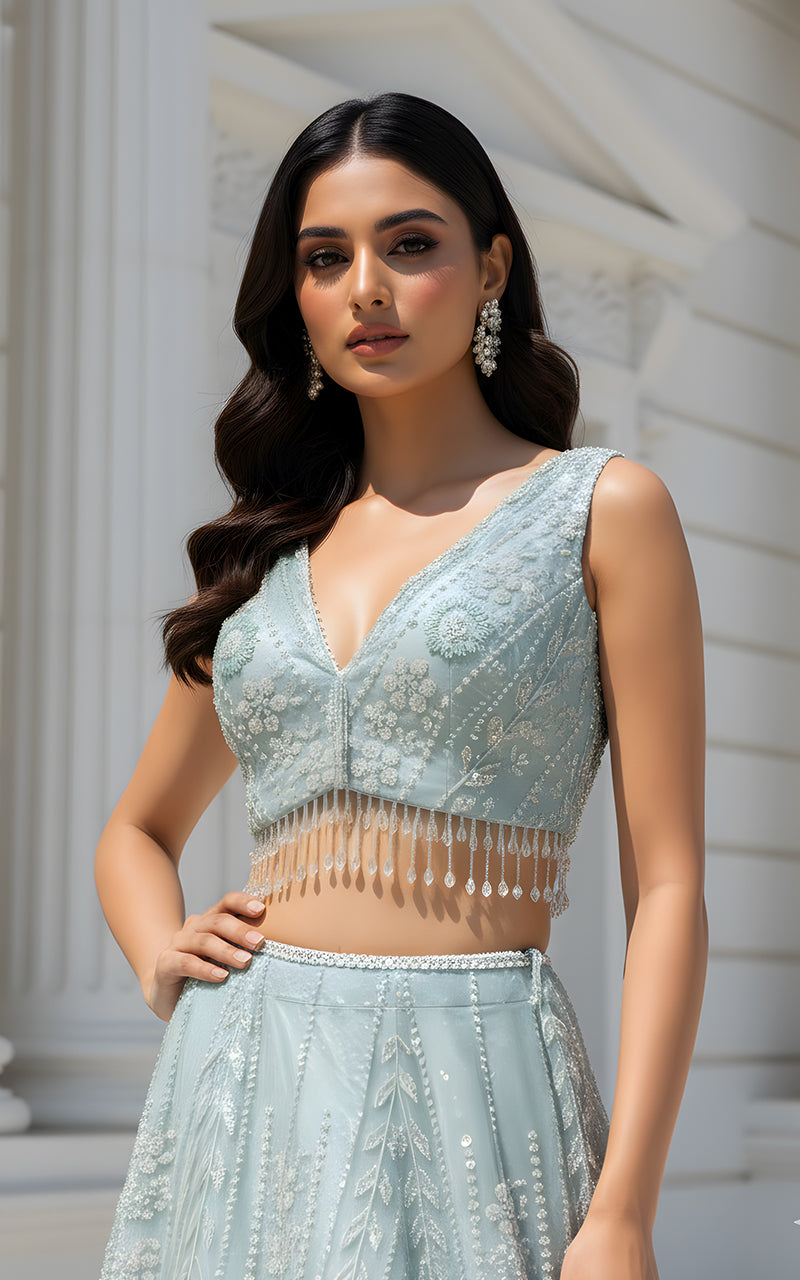 Threads and Motifs | Formal Dresses 25 | Net Embroidered Blouse With Cape And Lehenga
