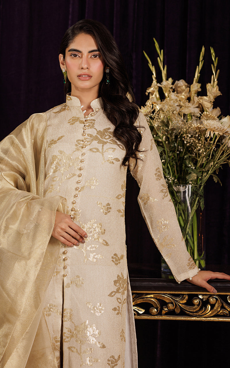 Threads and Motifs | Formal Dresses 25 | Chiffon Embroidered Jacket with Embroidered Trouser