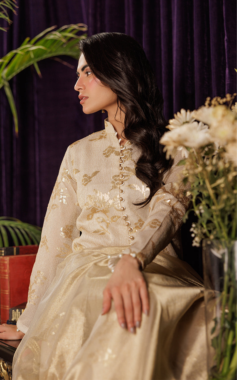 Threads and Motifs | Formal Dresses 25 | Chiffon Embroidered Jacket with Embroidered Trouser