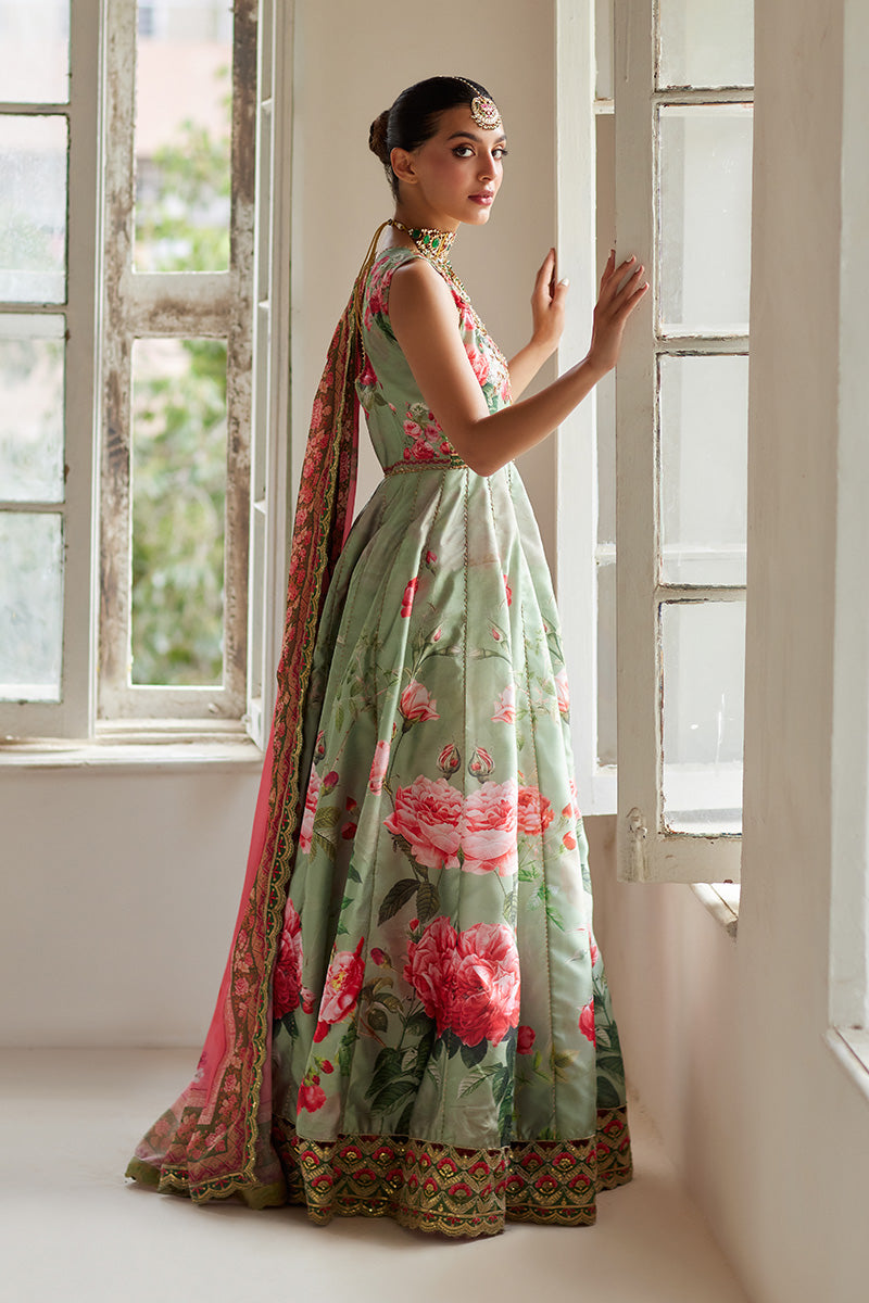 Mina Hassan | Formal Dholki Collection | Amira