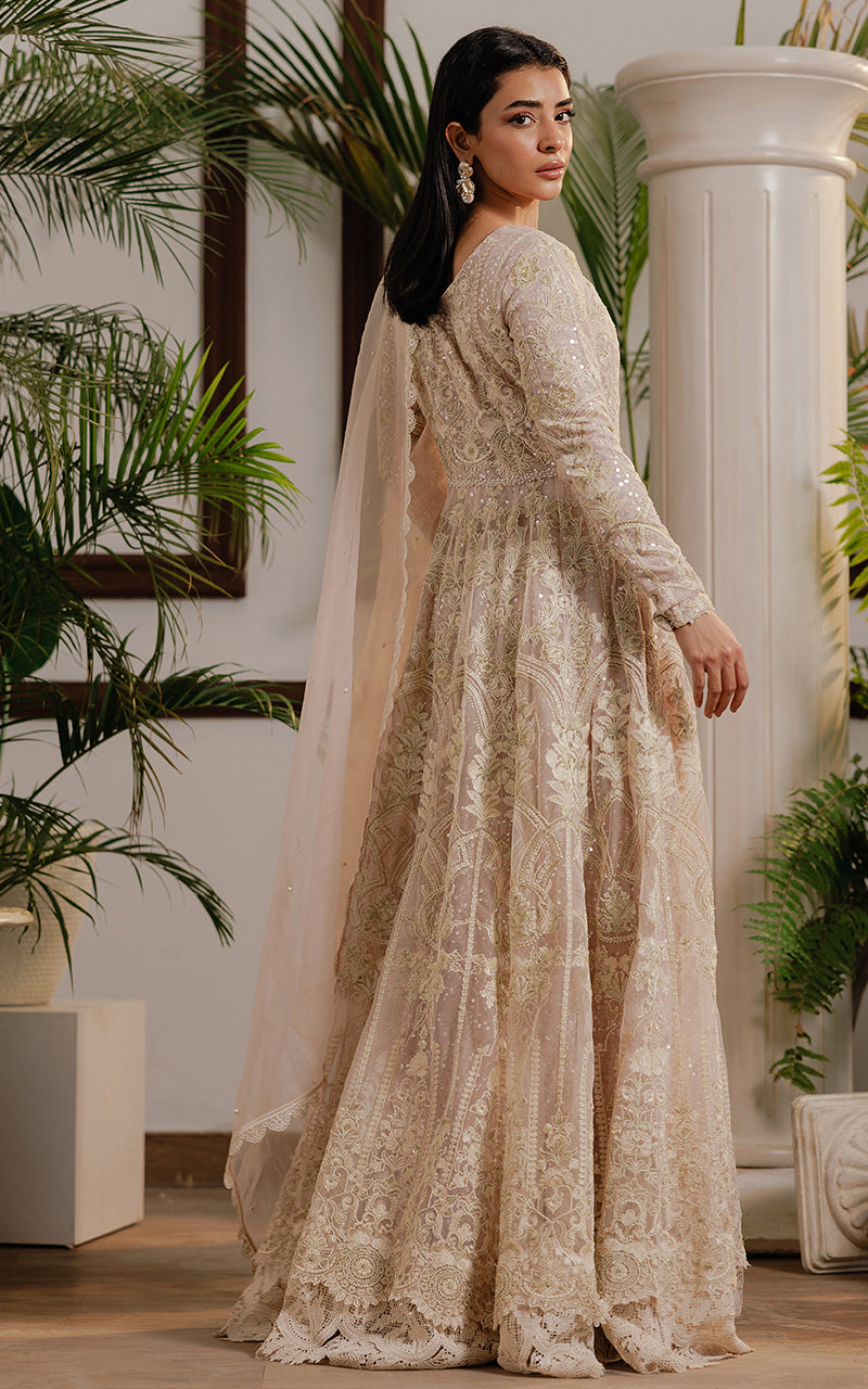 Threads and Motifs | Formal Dresses 25 | Net Embroidered Maxi