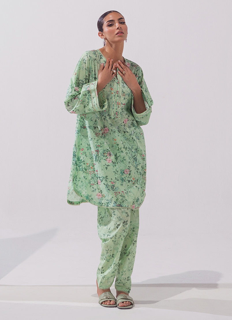 Image | Spring Basics 25 | IMPRSS-213915-11893