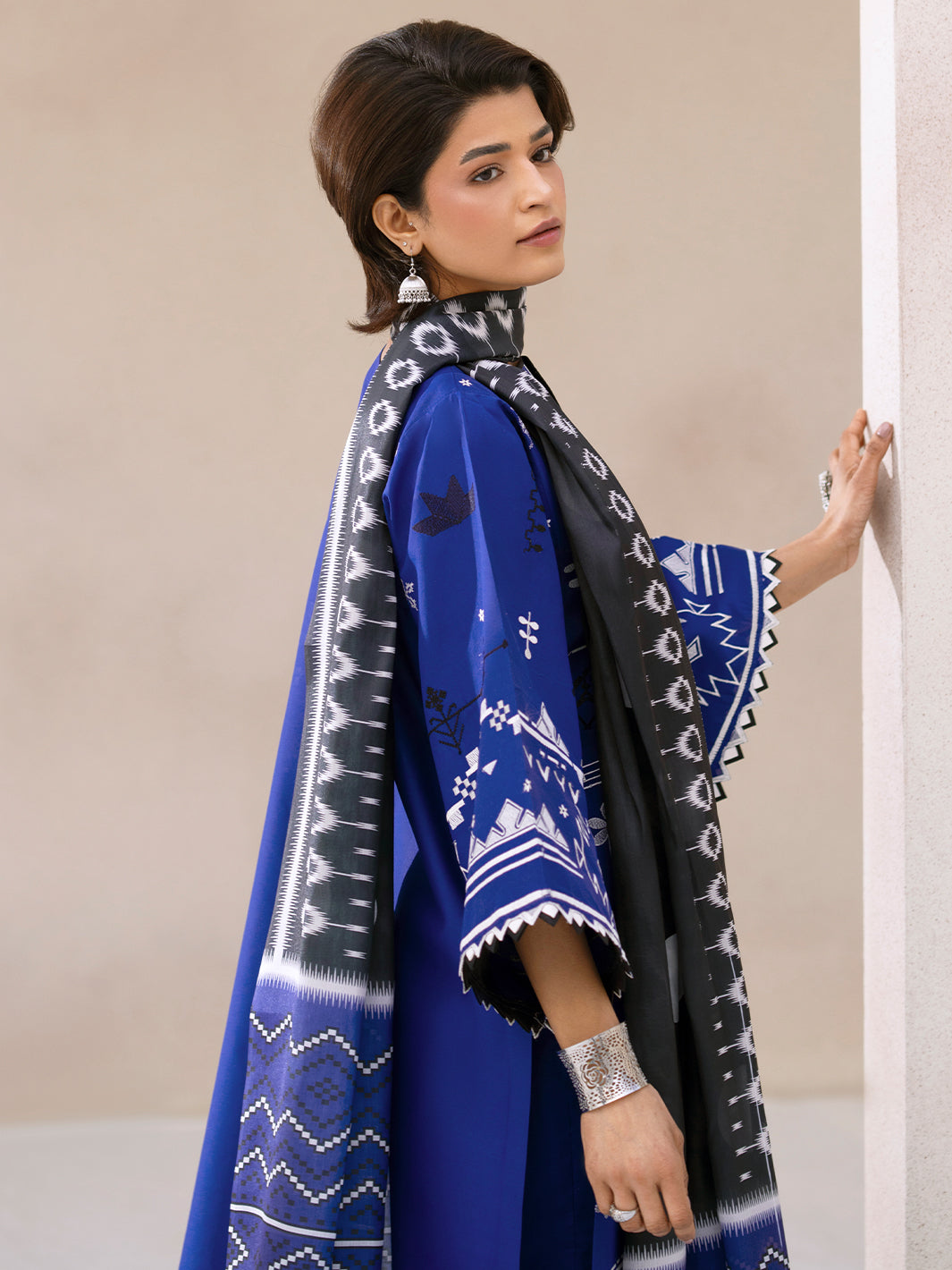 Bin Ilyas | Aaina Summer Edit 25 | 81 - A - Official Bin Ilyas - Agha Fabrics UK