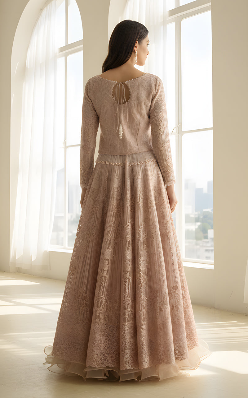Threads and Motifs | Formal Dresses 25 | Organza Embroidered Blouse And Lehenga