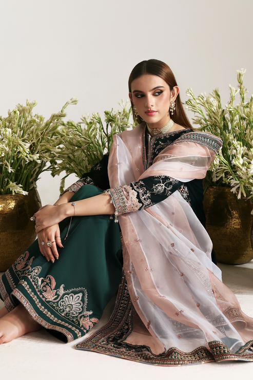 Emaan Adeel | Zarposh Velvet 25 | MEHRUUNISA