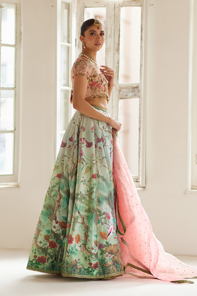 Mina Hassan | Formal Dholki Collection | Fayruz