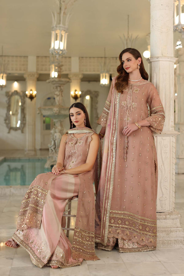 Noor by Saadia Asad | Festive 25 | D4 - Tea Pink