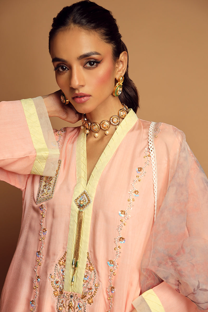 Wardha Saleem | Luxury Pret Traditional Wear | ALLURE (2PC) - Official Wardha Saleem - Agha Fabrics UK