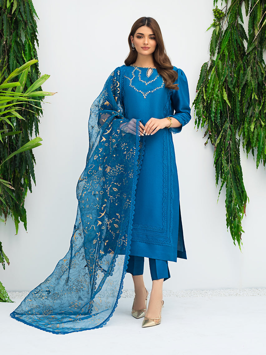 Anam Akhlaq | Festive Collection | D-07 - Official Anam Akhlaq - Agha Fabrics UK