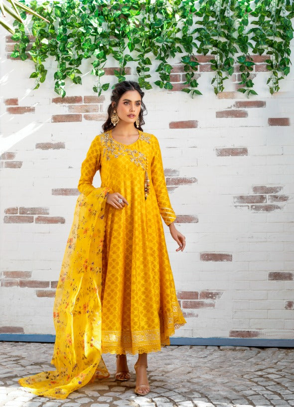Anam Akhlaq | Festive Collection | D-12 - Official Anam Akhlaq - Agha Fabrics UK