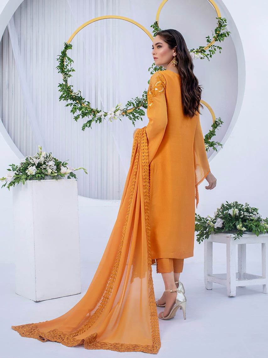 Anam Akhlaq | Festive Collection | D-03 - Official Anam Akhlaq - Agha Fabrics UK