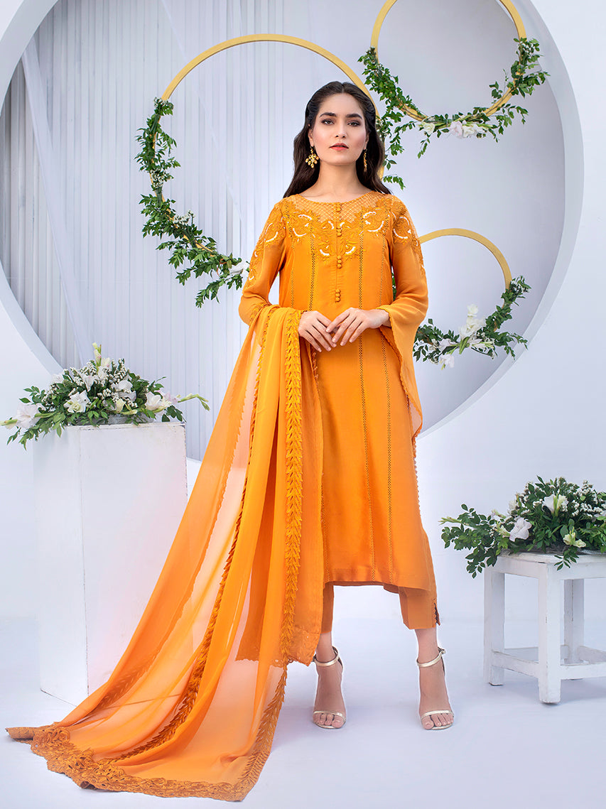 Anam Akhlaq | Festive Collection | D-03 - Official Anam Akhlaq - Agha Fabrics UK