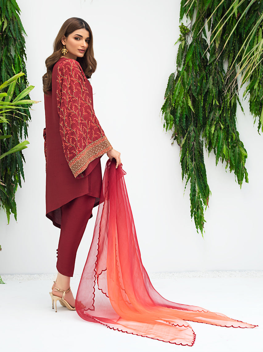 Anam Akhlaq | Festive Collection | D-06 - Official Anam Akhlaq - Agha Fabrics UK