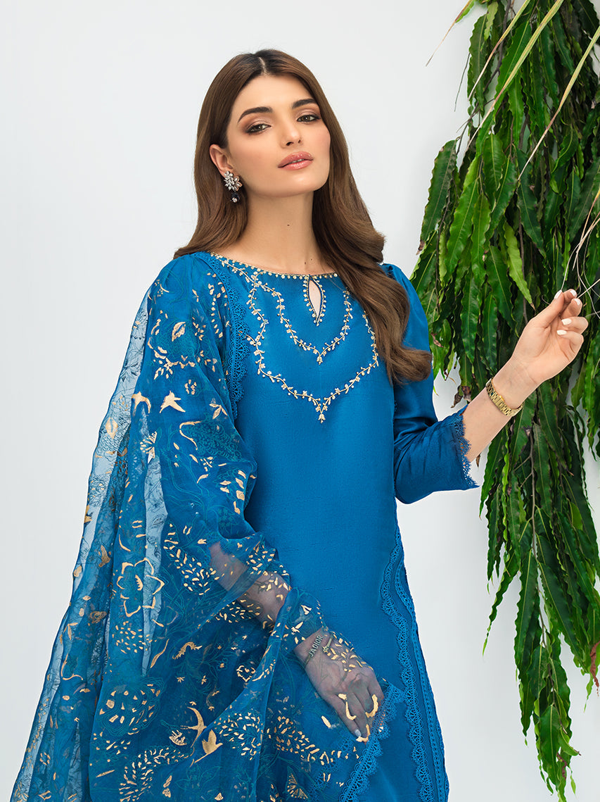 Anam Akhlaq | Festive Collection | D-07 - Official Anam Akhlaq - Agha Fabrics UK