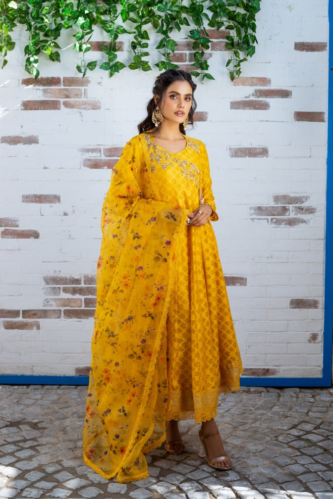 Anam Akhlaq | Festive Collection | D-12 - Official Anam Akhlaq - Agha Fabrics UK