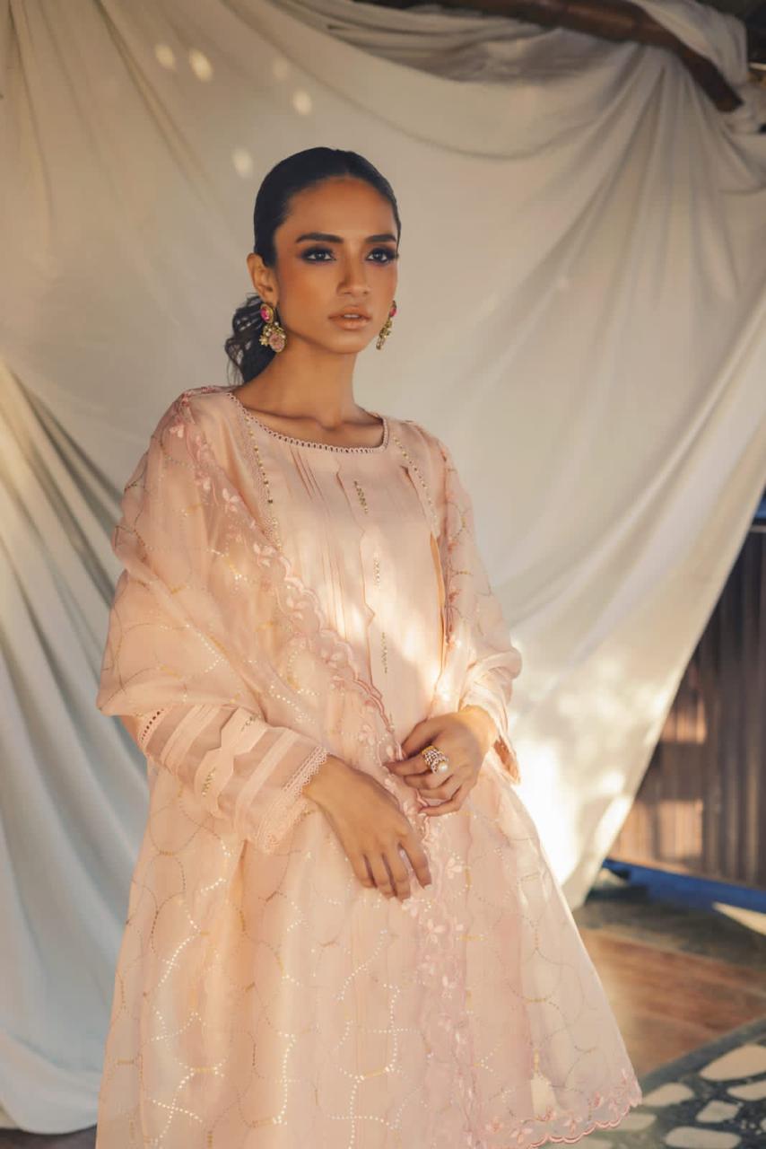 Anam Akhlaq | Festive Collection | D-49 - Official Anam Akhlaq - Agha Fabrics UK