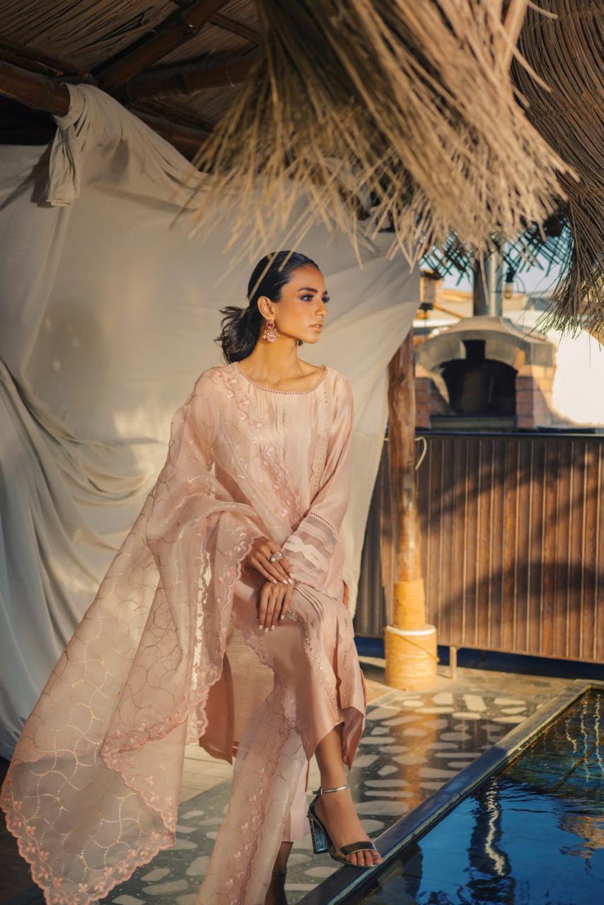 Anam Akhlaq | Festive Collection | D-49 - Official Anam Akhlaq - Agha Fabrics UK