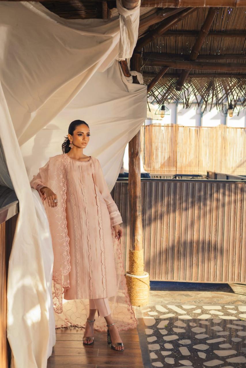 Anam Akhlaq | Festive Collection | D-49 - Official Anam Akhlaq - Agha Fabrics UK