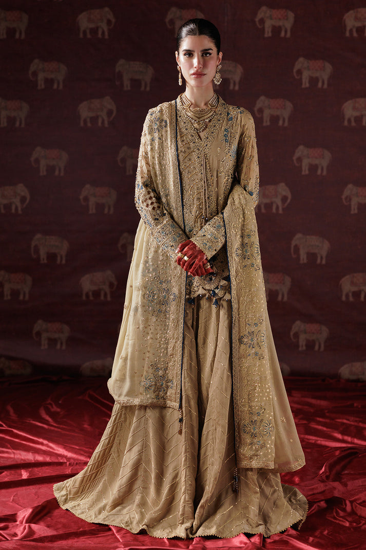 Saad Shaikh | Panache Luxury Chiffon 25 | D-05