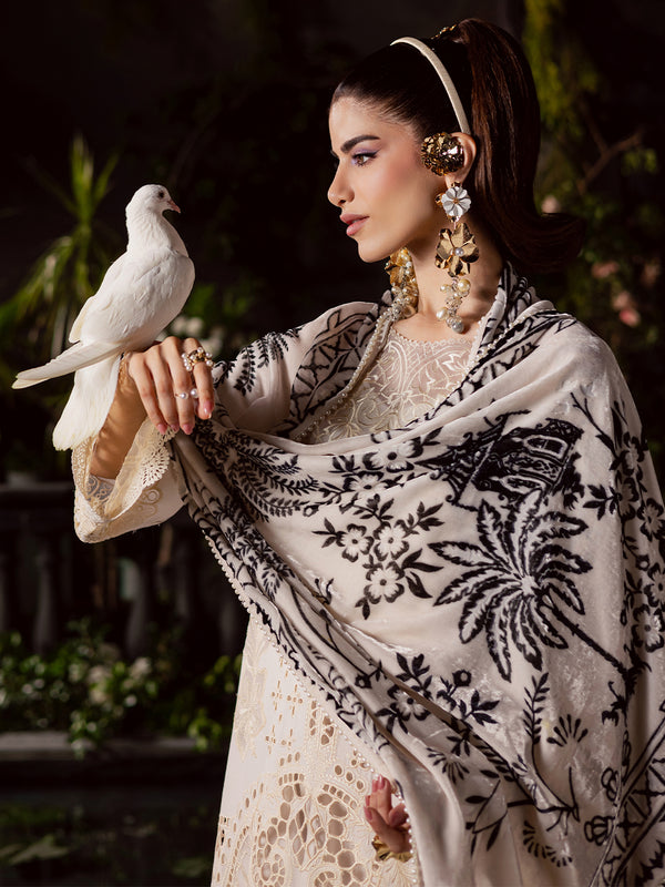 Mahnur | Amelia Luxury Winter 25 | CK-003 Kotrai - Official Mahnur - Agha Fabrics UK