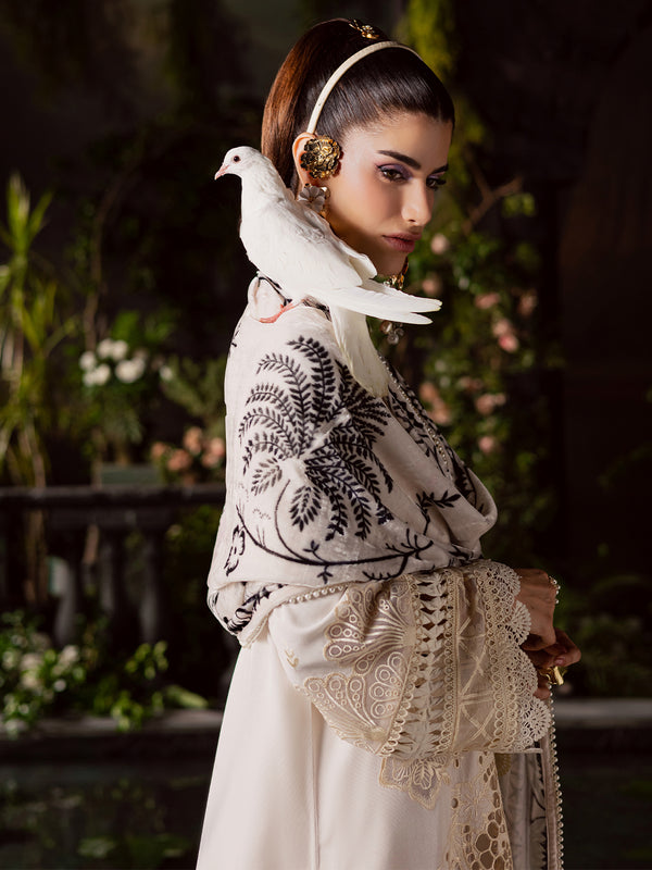 Mahnur | Amelia Luxury Winter 25 | CK-003 Kotrai - Official Mahnur - Agha Fabrics UK