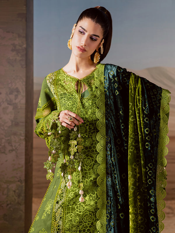 Mahnur | Amelia Luxury Winter 25 | CK-012 Kotrai - Official Mahnur - Agha Fabrics UK