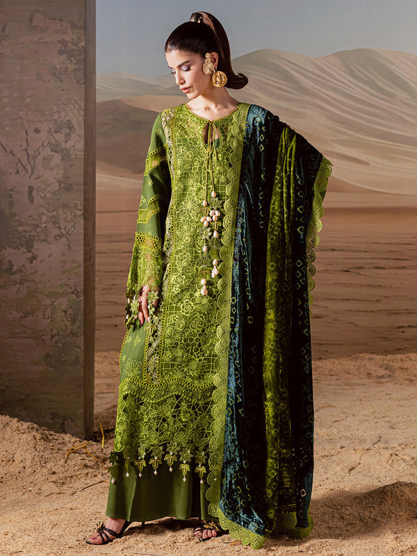 Mahnur | Amelia Luxury Winter 25 | CK-012 Kotrai - Official Mahnur - Agha Fabrics UK