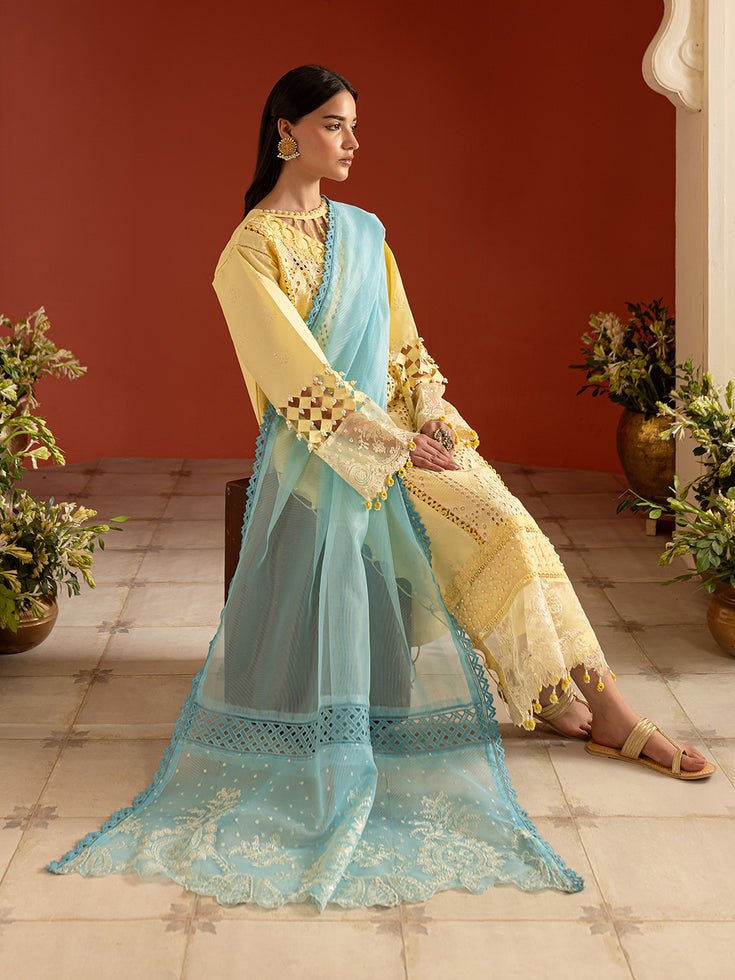 Parishay | Dastan e Noor Lawn | DSC-11 - Official Parishay - Agha Fabrics UK