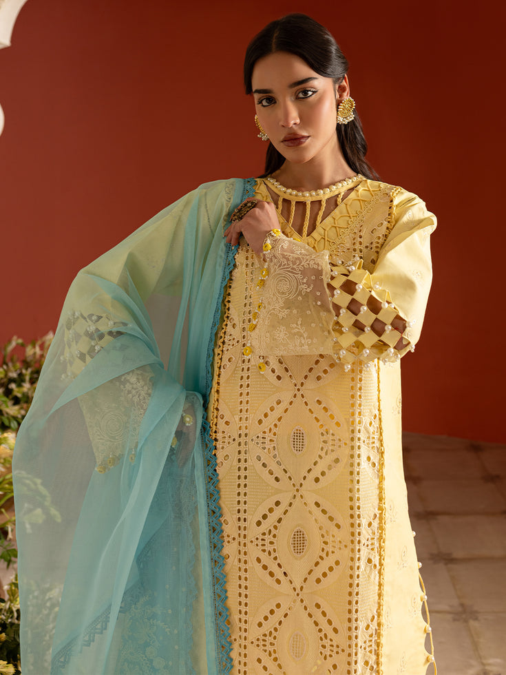 Parishay | Dastan e Noor Lawn | DSC-11 - Official Parishay - Agha Fabrics UK