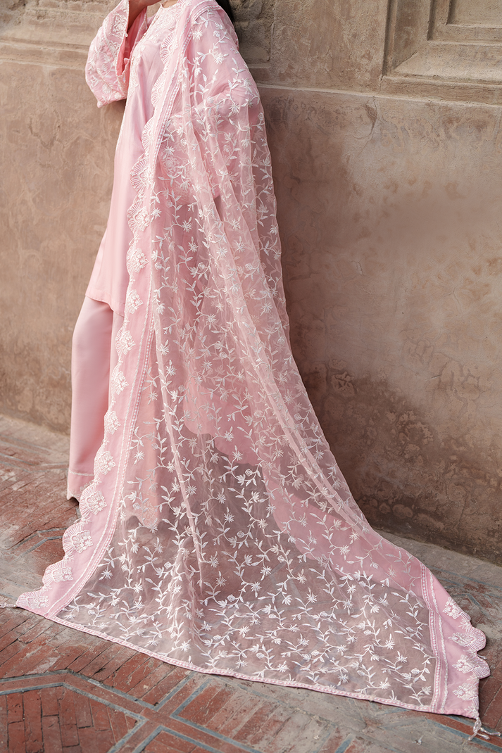 Saad Shaikh | Zaria Festive Pret 25 | BLUSH