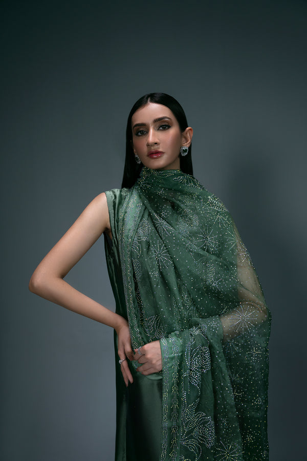 Sidra Fahad | Eliana Luxe | SF-183(ELIANNA) - Official Sidra Fahad - Agha Fabrics UK