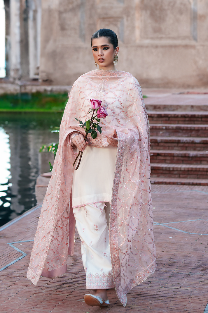 Saad Shaikh | Zaria Festive Pret 25 | CHENTLY