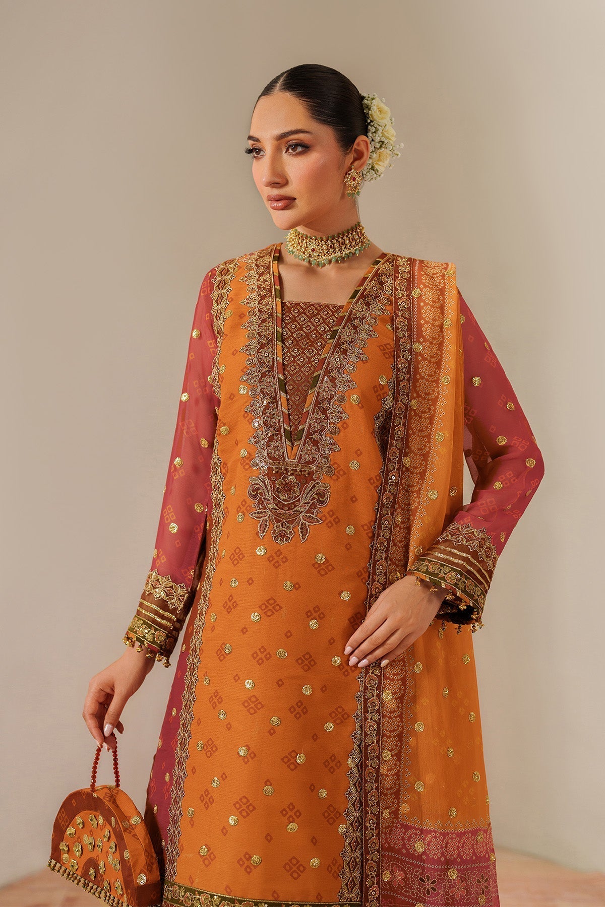 Alizeh | Fleur Chiffon | AF-CH-2194-Zyne
