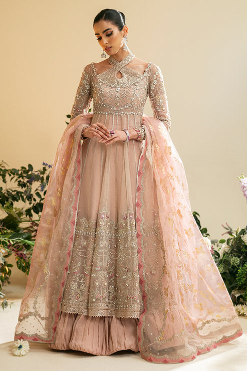 Nyra | Vasl Festive Edit 24 | Zunia