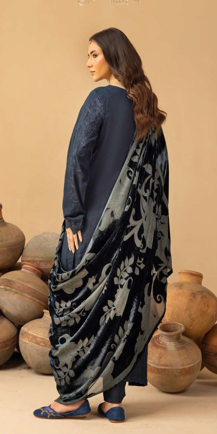 Riaz Arts | Dastaan Winter 25 | DS-22