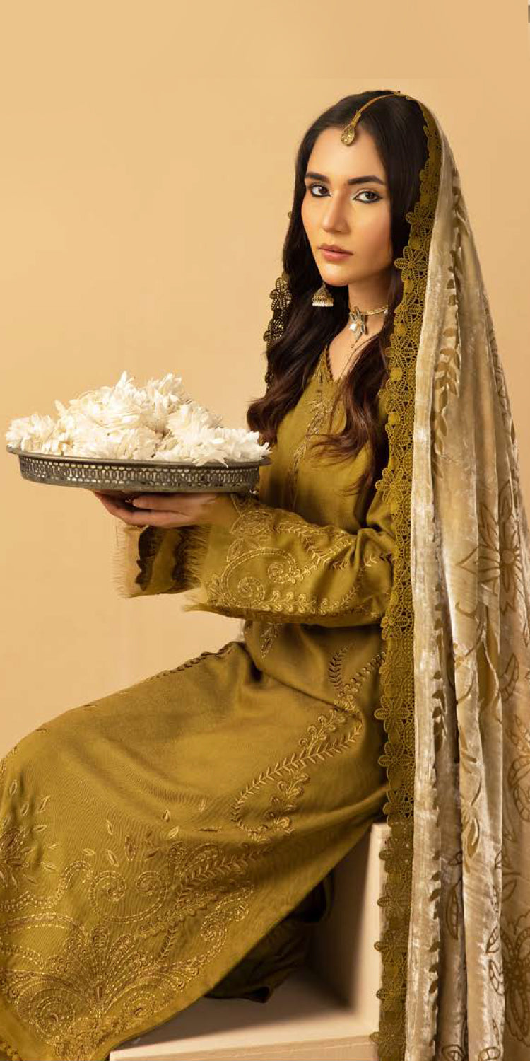 Riaz Arts | Dastaan Winter 25 | DS-18