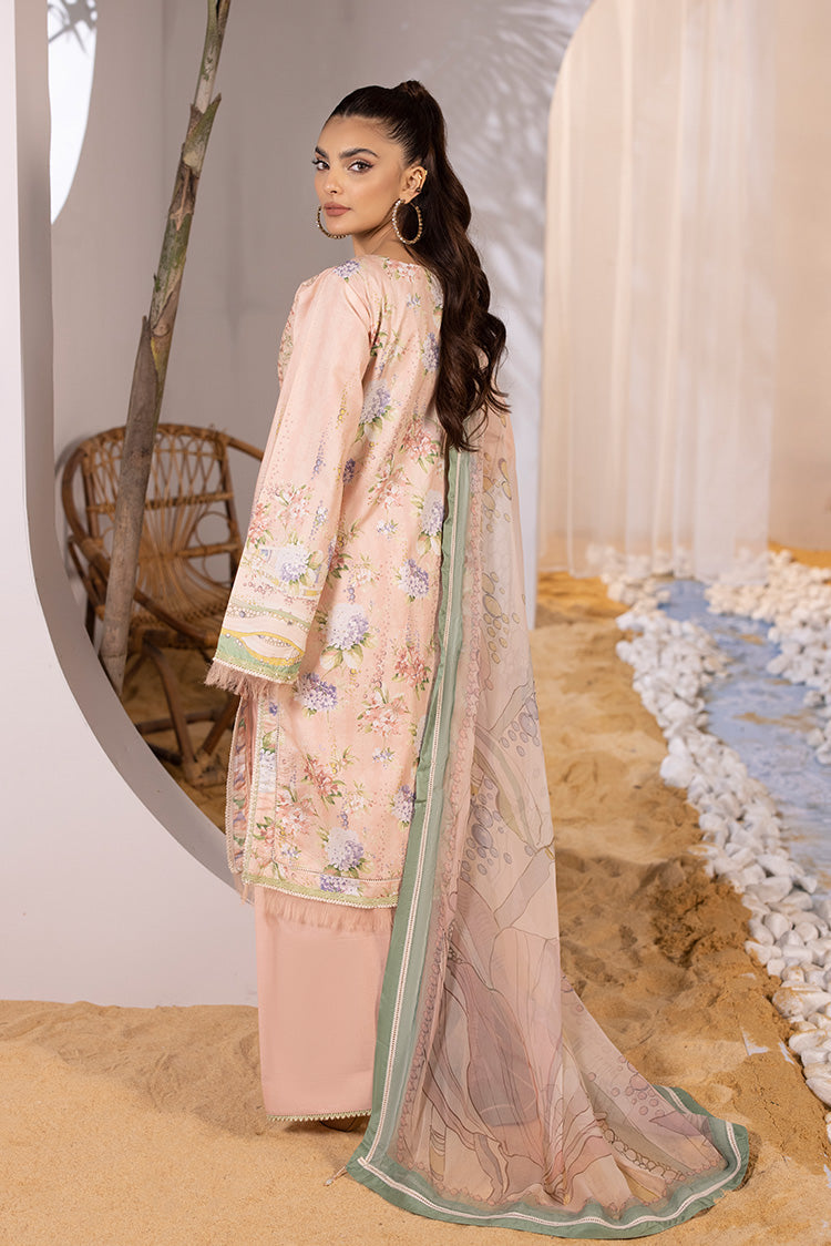 Ellena | Luxury Embroidered Collection | P-01