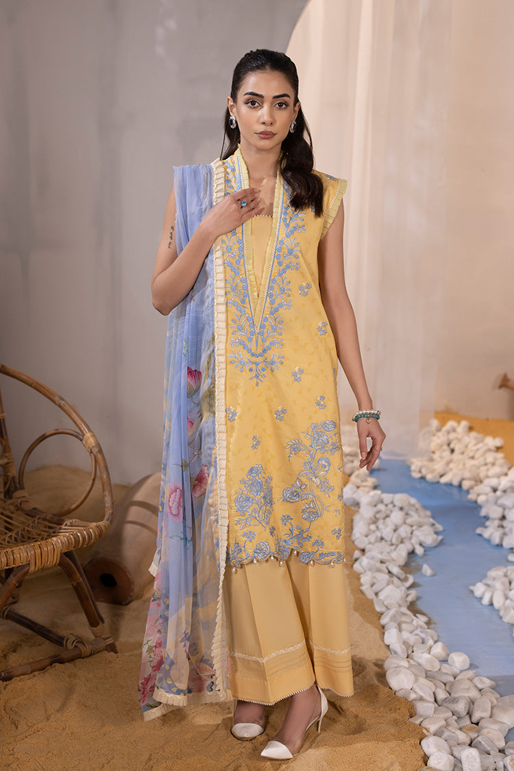 Ellena | Luxury Embroidered Collection | P-02