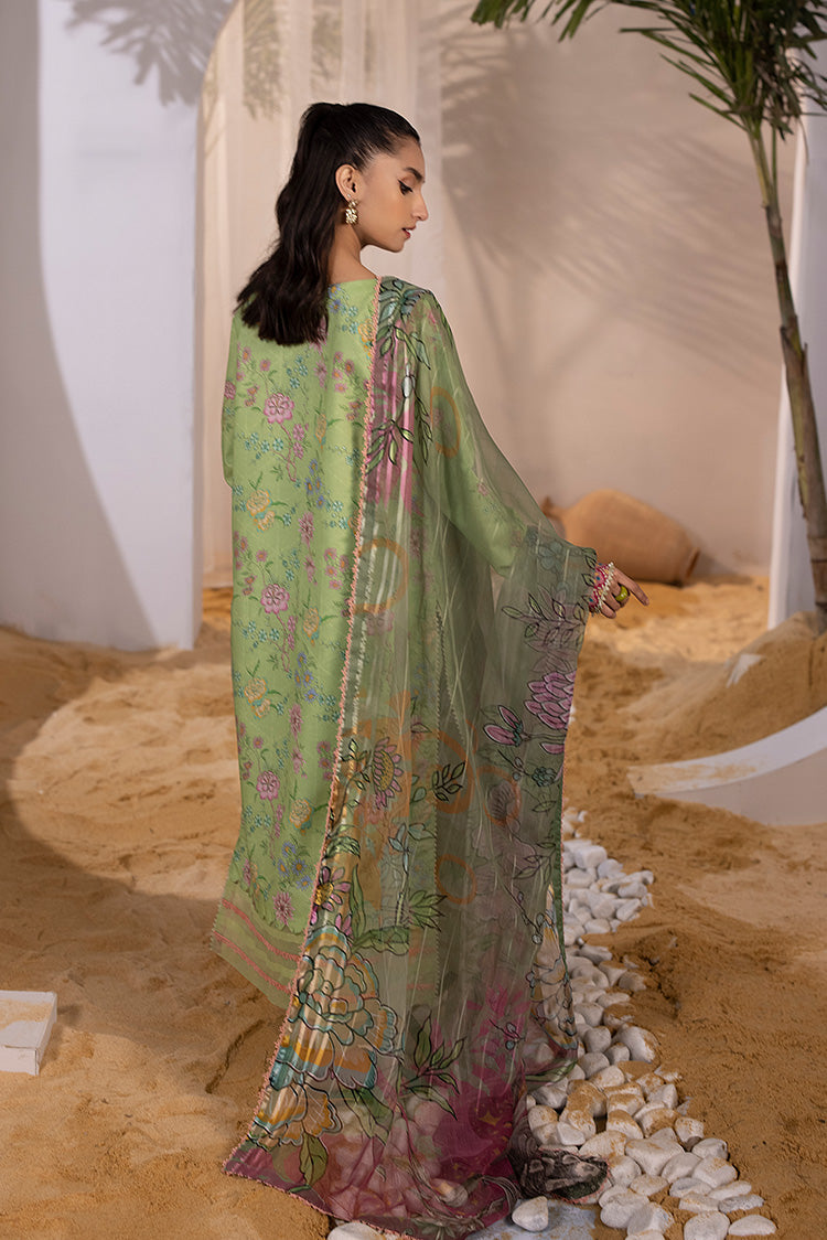 Ellena | Luxury Embroidered Collection | P-03