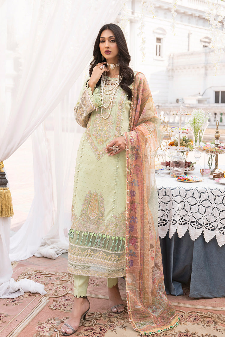 Ellena | Luxury Embroidered Collection | D21