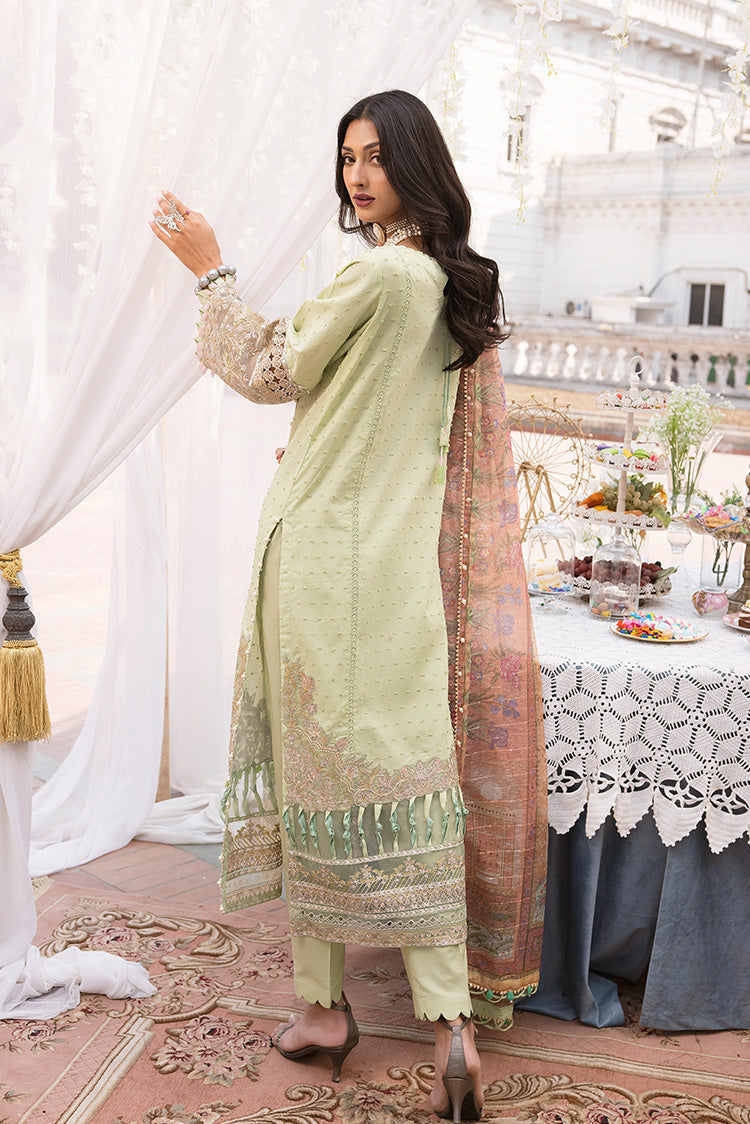Ellena | Luxury Embroidered Collection | D21