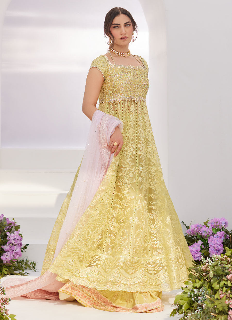 Farah Talib Aziz | Zaza Luxe Pret 24 | REINE KIWI EMBROIDERED EMBELLISHED KALIDAAR