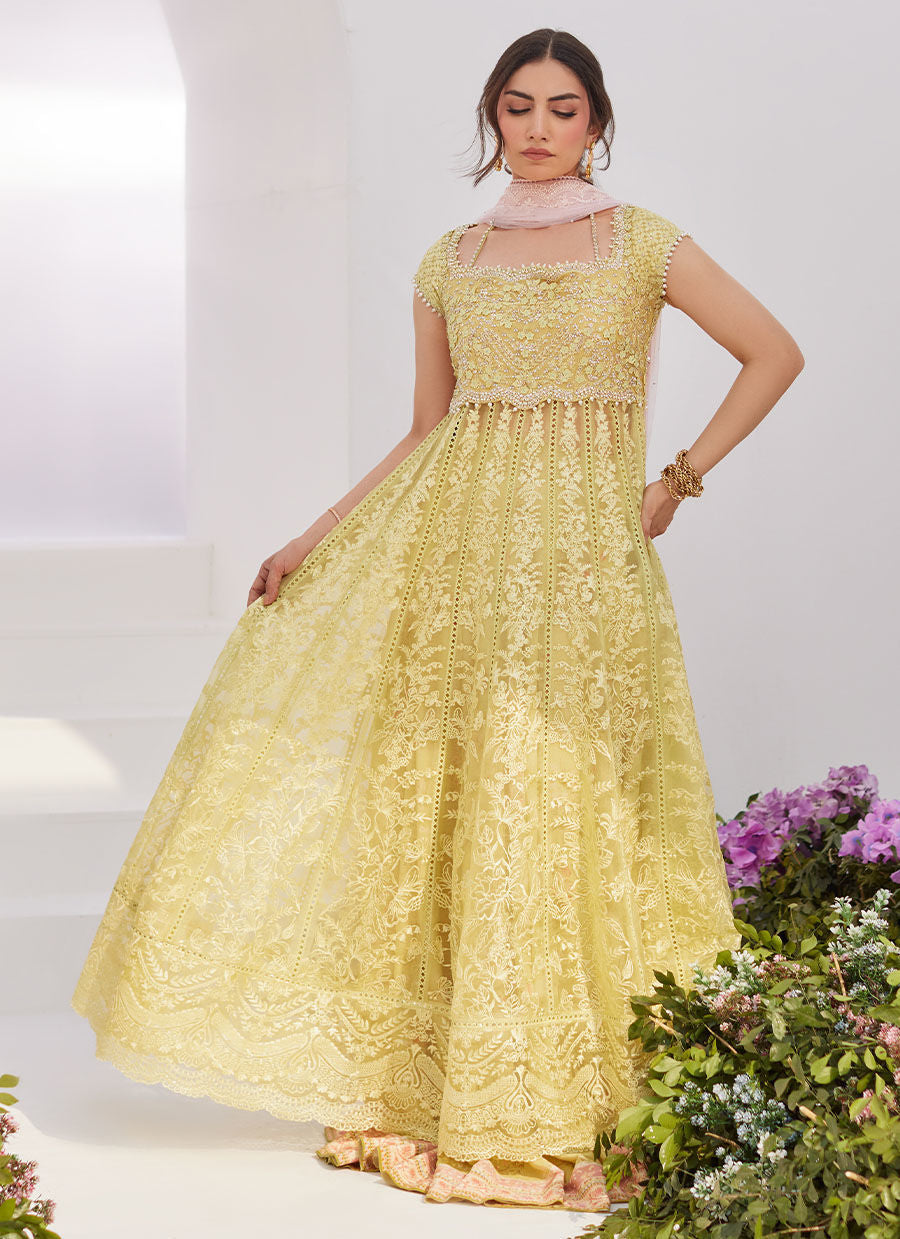 Farah Talib Aziz | Zaza Luxe Pret 24 | REINE KIWI EMBROIDERED EMBELLISHED KALIDAAR