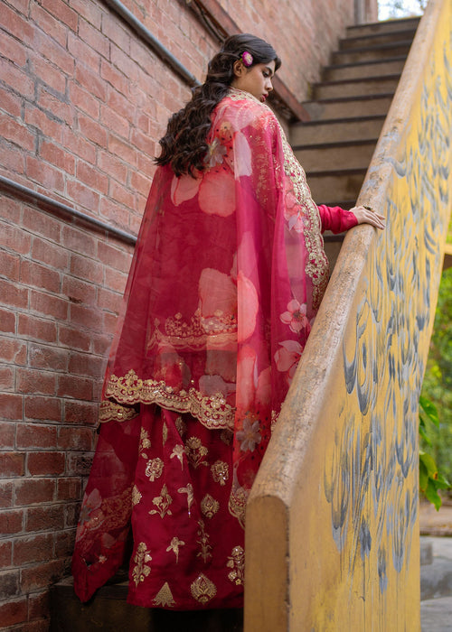 Ali Xeeshan | Chanda Luxury Pret | Sahiba - Official Ali Xeeshan - Agha Fabrics UK
