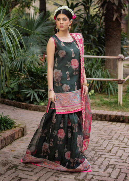 Ali Xeeshan | Chanda Luxury Pret | Green Forest - Official Ali Xeeshan - Agha Fabrics UK